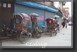 LGP_2462 (2)