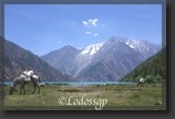 LGP_3496