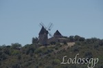 LGP_7959