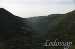 LGP_8046