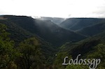 LGP_8049