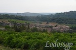 LGP_8050