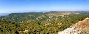 IMG_1150