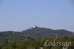 LGP_7810