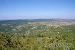 LGP_7811