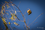 09092016-Runion-0216-2